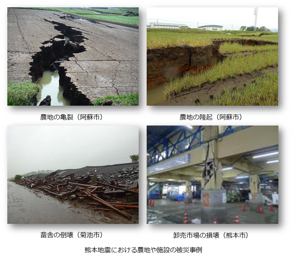 熊本地震からの復旧・復興について
